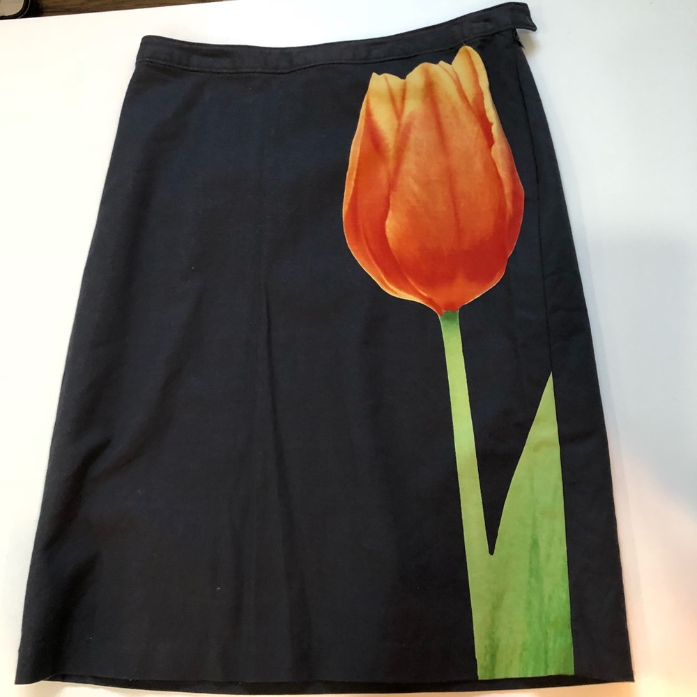 Isaac Mizrahi skirt